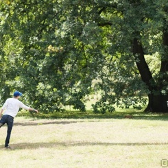 discendk11 058