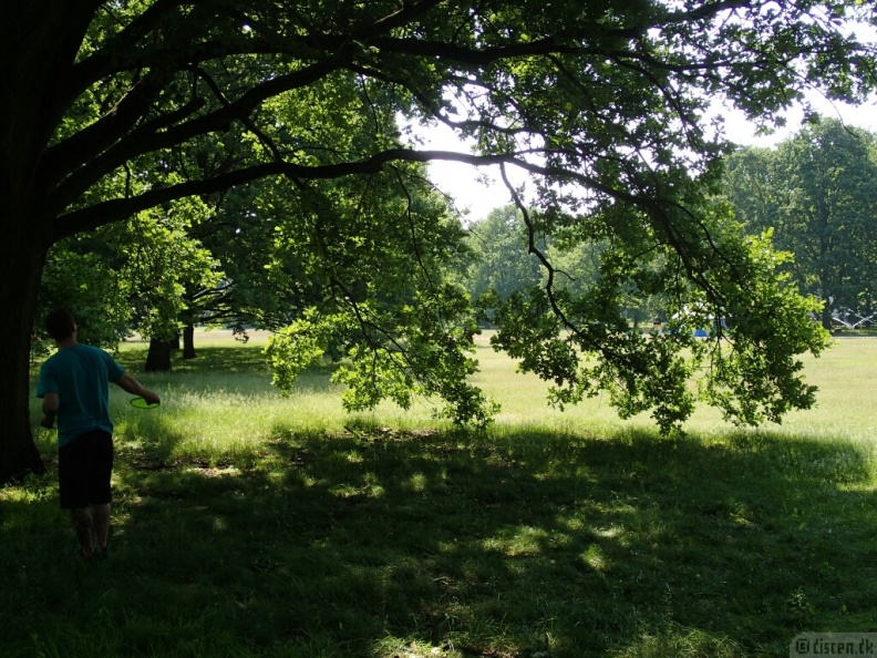 P6090471_wm-854947871.jpg