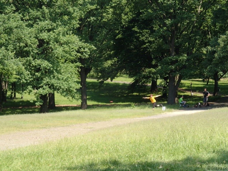 P6090491_wm1637959627.jpg