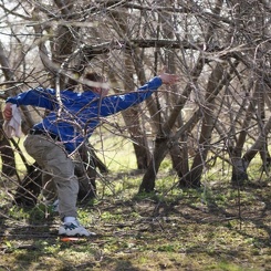 discen 046