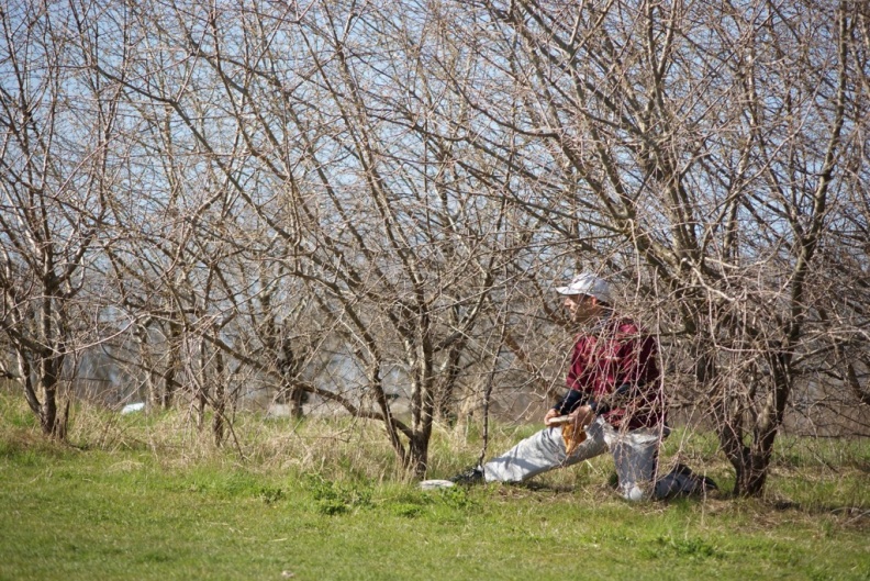 discen_051.JPG