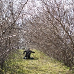 discen 060