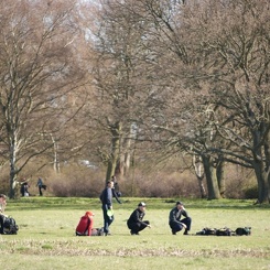 discen 061