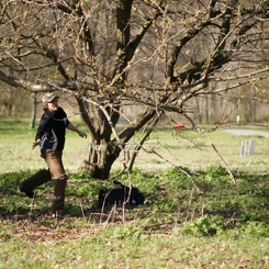 discen 067