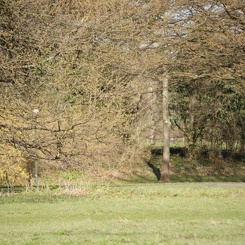 discen 073