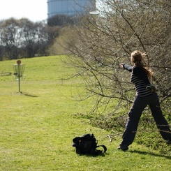 discen 071