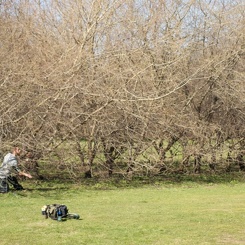discen 075
