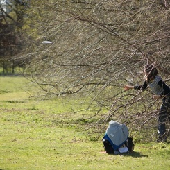 discen 078