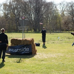 discen 081