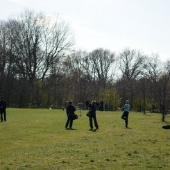 discen 083