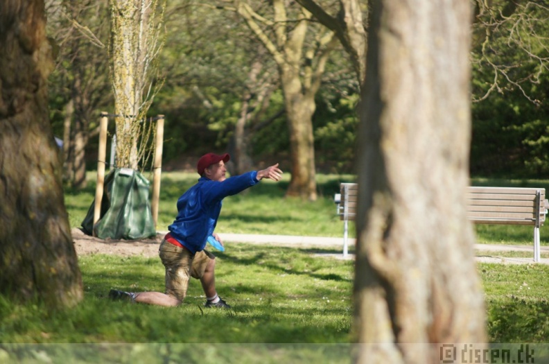 Discen11_055.JPG