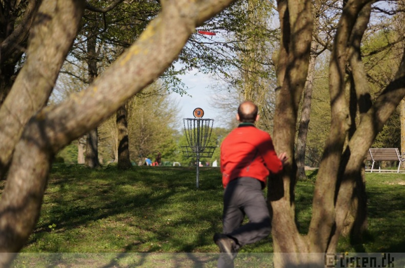 Discen11_058.JPG