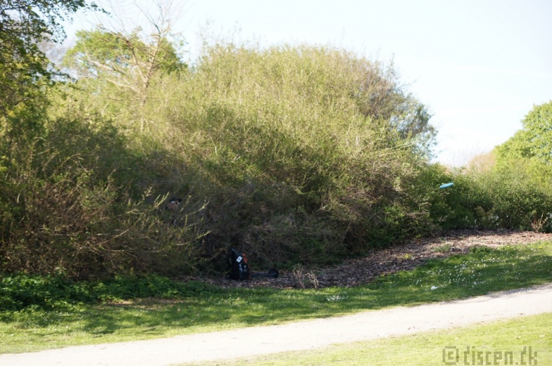 Discen11_057.JPG