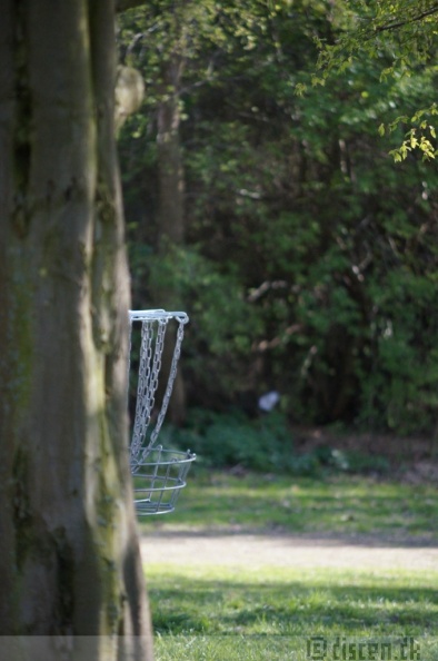 Discen11_056.JPG