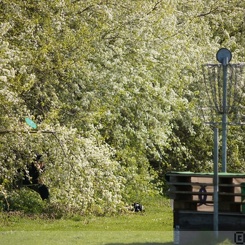 Discen11 030