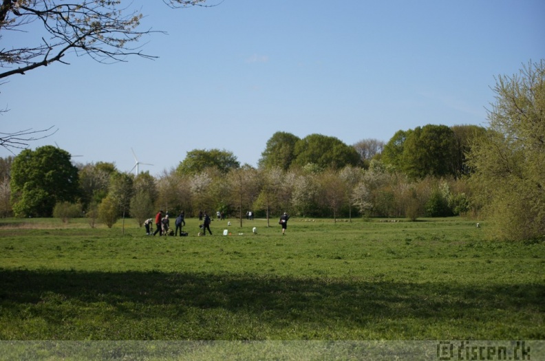 Discen11_038.JPG