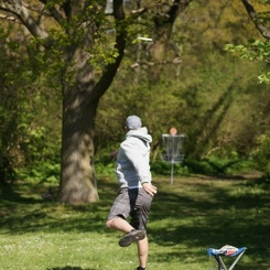 Discen11 042