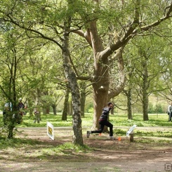 Discen11 047