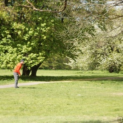 Discen11 052