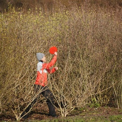 Copenhagen Open 2012