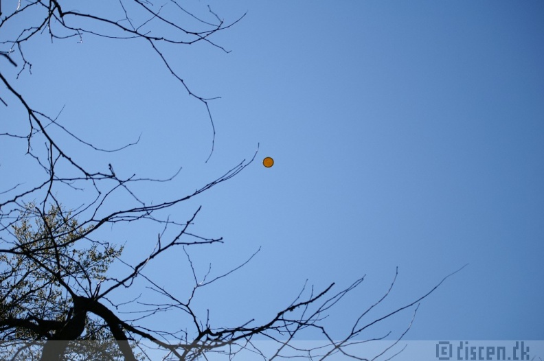 PICT0142.JPG