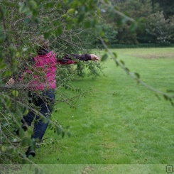 discen 048