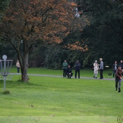 discen 050