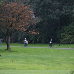 discen 053