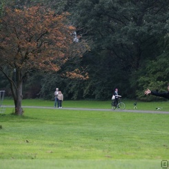 discen 052