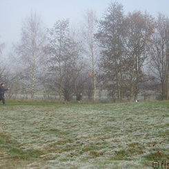 IMG 0795 wm