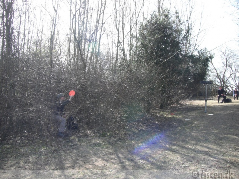 discendk11_029.JPG