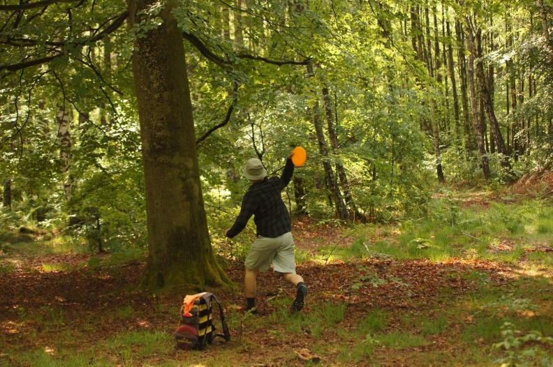 discen_20180519_046.jpg