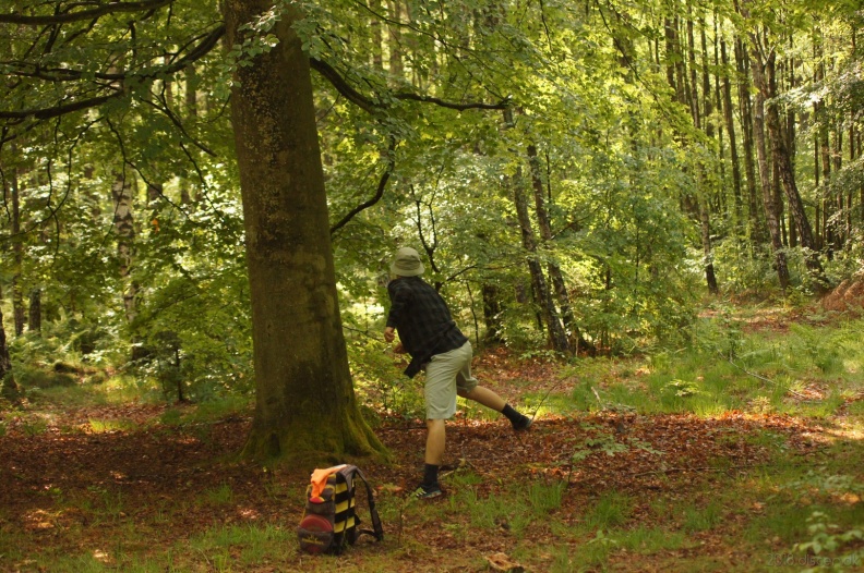 discen_20180519_047.jpg