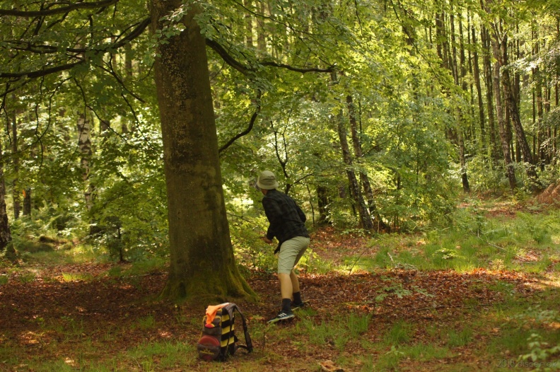 discen_20180519_048.jpg
