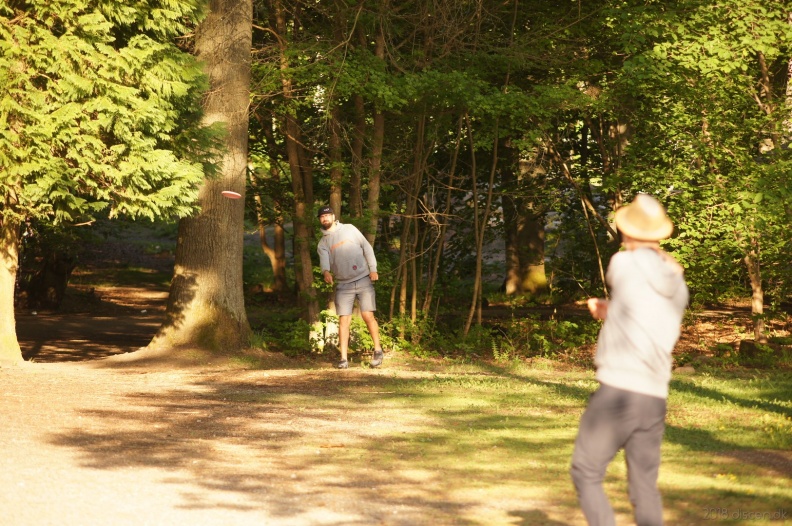 discen_20180520_003.jpg