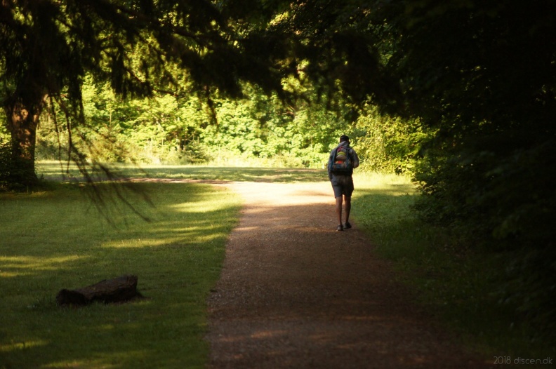 discen_20180520_006.jpg