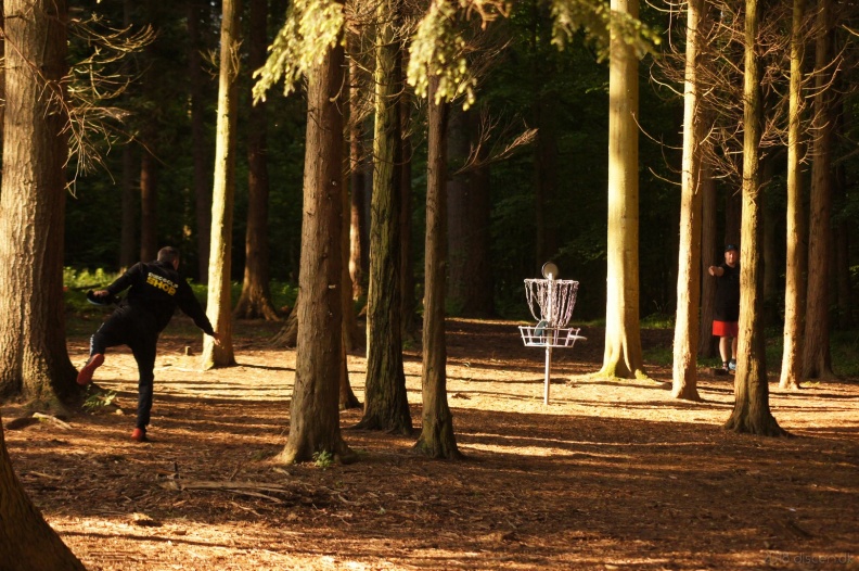 discen_20180520_007.jpg