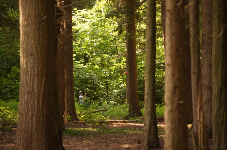 discen_20180520_023.jpg