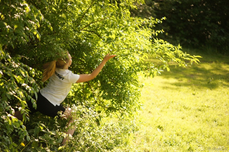 discen_20180520_048.jpg