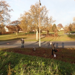 SOS Disc Golf Efterårsstævne