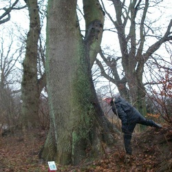 Sorø 2007