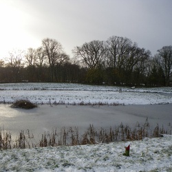 Sorø 2006