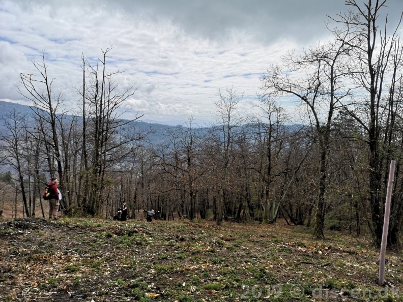 IMG_20190405_120723_wm.jpg