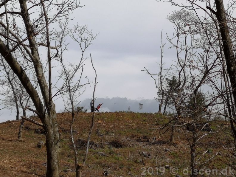IMG_20190406_115452_1_wm.jpg