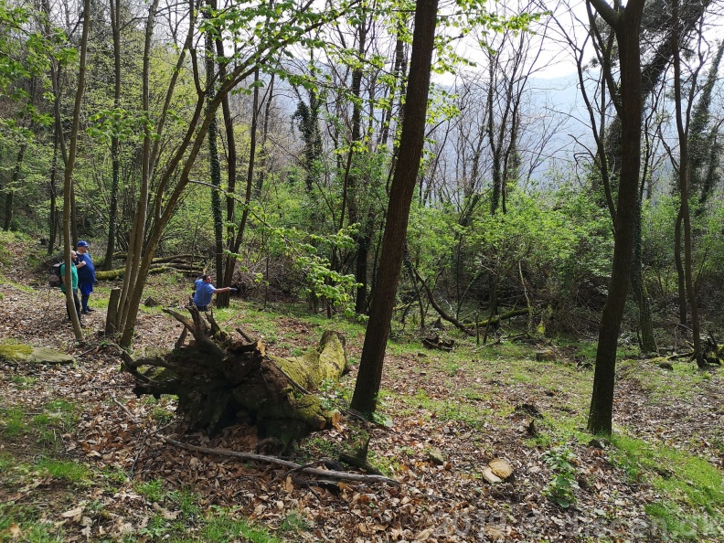 IMG_20190406_104829_wm.jpg