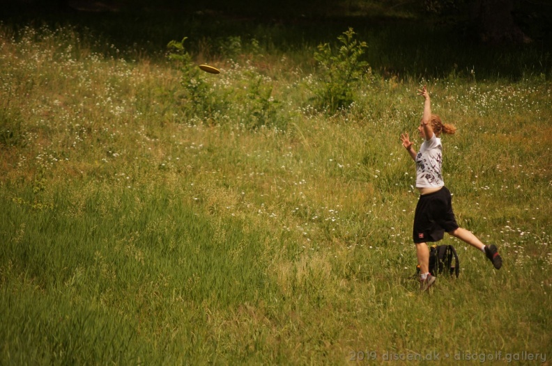 20190616_1155-063.jpg
