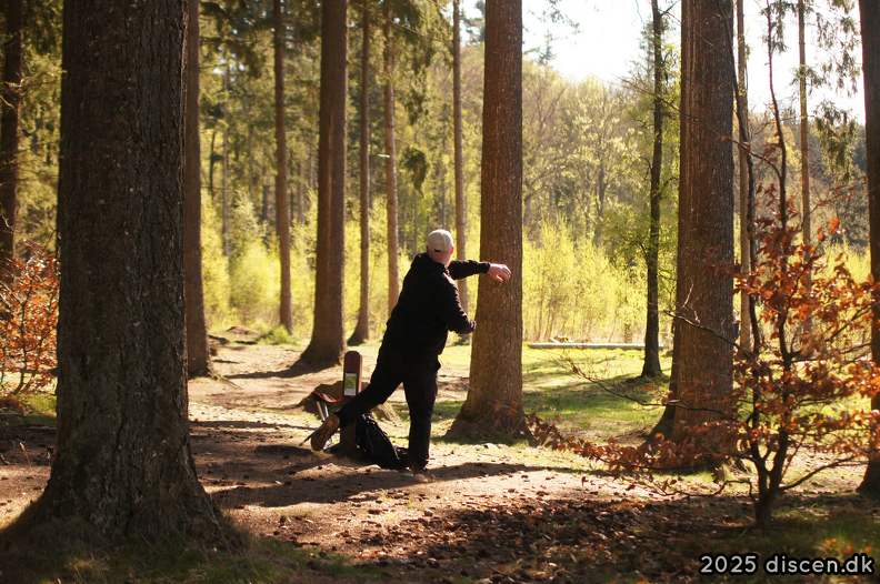 discen13-2025-04-27_09-53-32.png